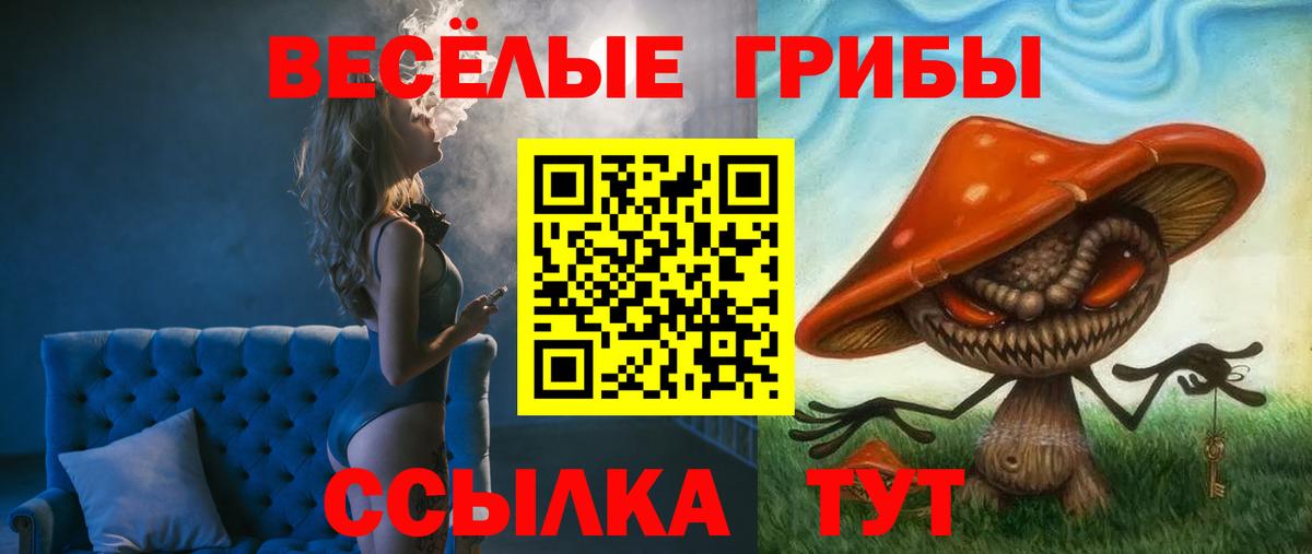 купить  сайты  Галлюциногенные грибы GOLDEN TEACHER  Вход с VPN  Ессентуки  Псилоцибиновые грибы GOLDEN TEACHER 